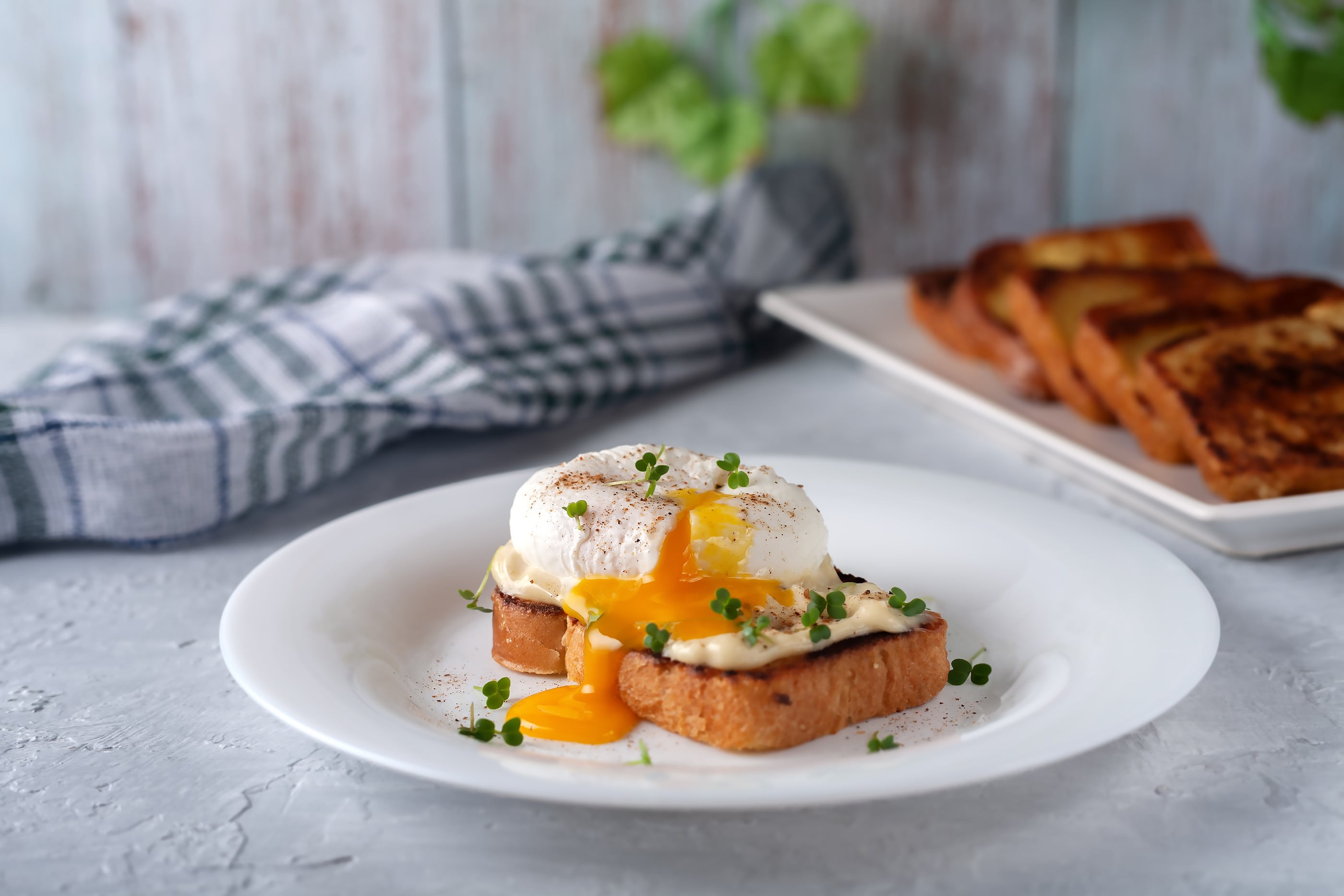 Todos los tips para cocinar huevos: poché, duros, pasados por agua y mollet  - Cucinare